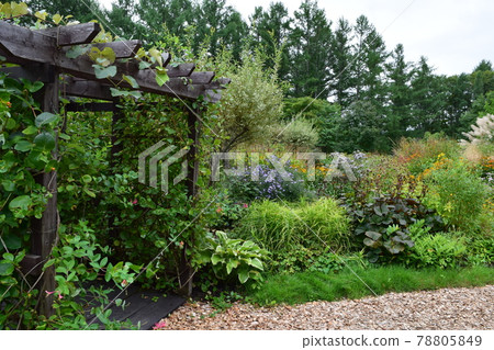  English garden 78805849