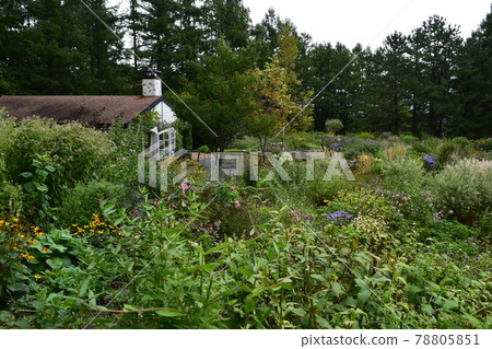 English garden English garden 78805851