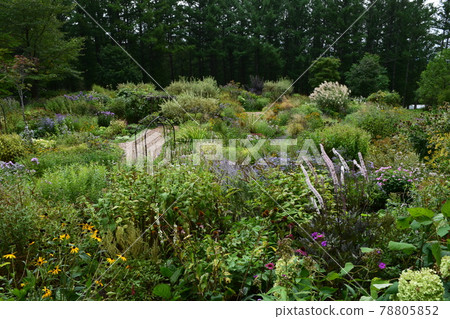  English garden 78805852