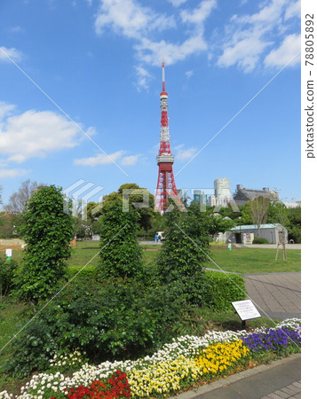 Tokyo Tower seen through the flower beds of Shiba Park 78805892