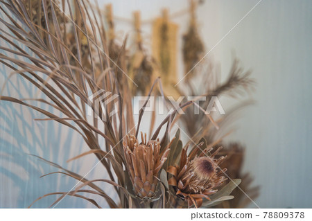 Dried flower Dried flower 78809378