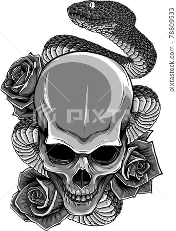 vector illustration of skull, roses and snake 78809533