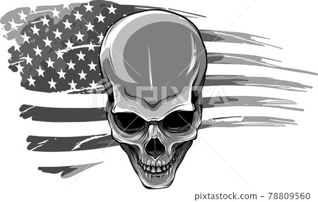 vector illustartion of skull with american flag vector illustartion of skull with american flag 78809560
