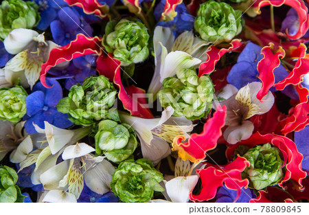 六出花、繡球花、蘭花的插花 78809845