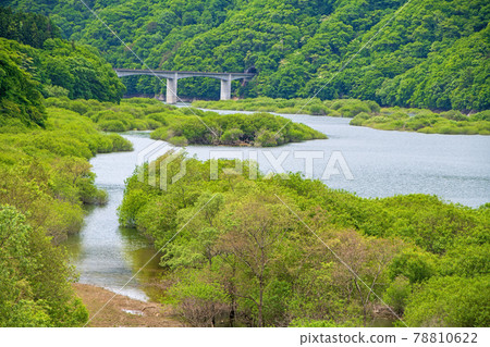 押澤橋的風景 碇湖周邊的風景 日光市 78810622