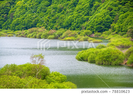 押澤橋的風景 碇湖周邊的風景 日光市 押澤橋的風景 碇湖周邊的風景 日光市 78810623