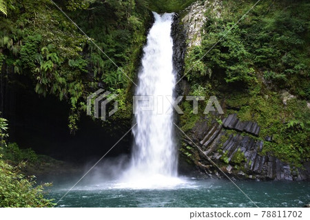 Joren Falls (Izu City, Shizuoka Prefecture) Joren Falls (Izu City, Shizuoka Prefecture) 78811702