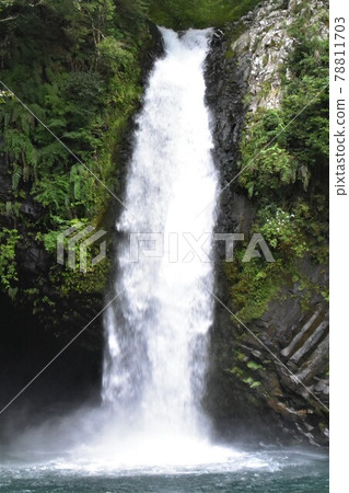 Joren Falls (Izu City, Shizuoka Prefecture) 78811703