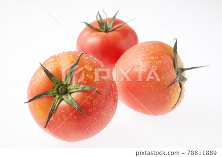 Tomato white background Tomato white background 78811889