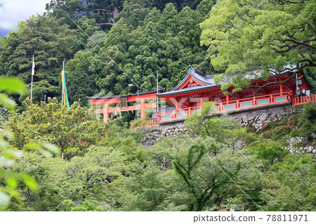 Fresh green Kumano Nachi Shrine and hydrangea in full bloom-Seigantoji Temple and Nachi Falls Fresh green Kumano Nachi Shrine and hydrangea in full bloom-Seigantoji Temple and Nachi Falls 78811971