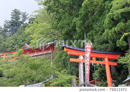 Fresh green Kumano Nachi Shrine and hydrangea in full bloom-Seigantoji Temple and Nachi Falls 78811972