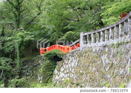 Fresh green Kumano Nachi Shrine and hydrangea in full bloom-Seigantoji Temple and Nachi Falls 78811974