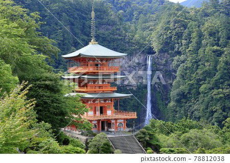 Fresh green Kumano Nachi Shrine and hydrangea in full bloom-Seigantoji Temple and Nachi Falls 78812038