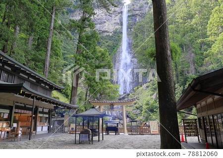 Fresh green Kumano Nachi Shrine and hydrangea in full bloom-Seigantoji Temple and Nachi Falls 78812060