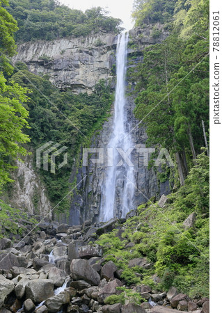 Fresh green Kumano Nachi Shrine and hydrangea in full bloom-Seigantoji Temple and Nachi Falls 78812061