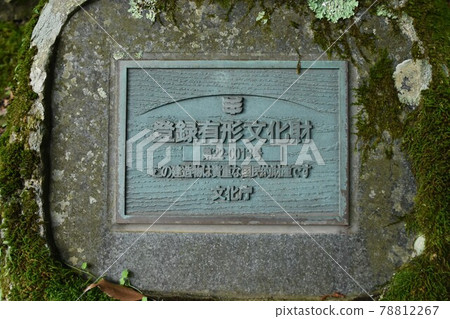 天城隧道/天城嘴（靜岡縣） 78812267