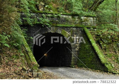 天城隧道/天城嘴（靜岡縣） 78812322