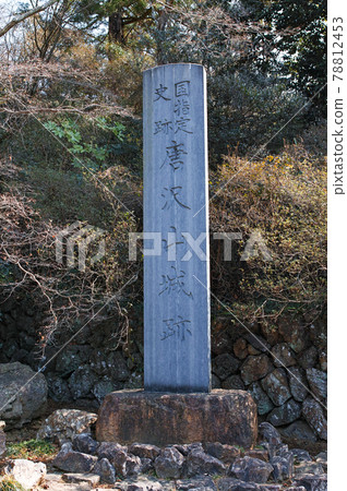 櫪木縣 / 烏澤山城繼續躋身日本城堡 100 強 78812453