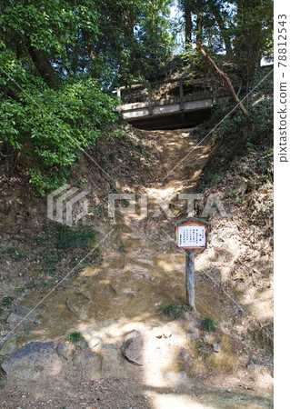 櫪木縣/烏澤山城·櫻花之馬場繼續日本城堡100強 78812543