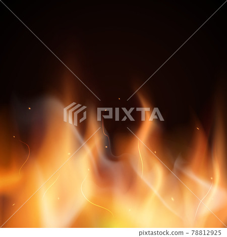 Fire flames on a black background. Colorful vector illustration. Fire flames on a black background. Colorful vector illustration. 78812925