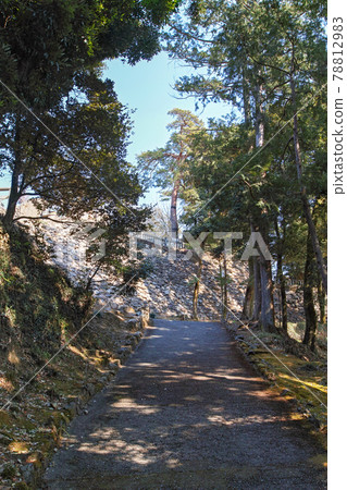 櫪木縣 / 烏澤山城 / 石垣城連續入選日本城堡 100 強 78812983