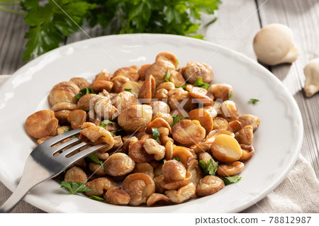 Fried puffball mushrooms on a white plate with a fork. Fried mushroom ready dish Fried puffball mushrooms on a white plate with a fork. Fried mushroom ready dish 78812987