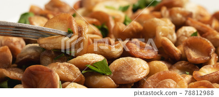 Fried puffball mushrooms on a white plate with a fork. Fried mushroom ready dish, hoizontal, banner Fried puffball mushrooms on a white plate with a fork. Fried mushroom ready dish, hoizontal, banner 78812988