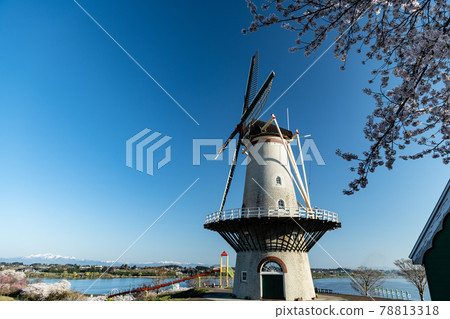 長沼 Futopia 公園、Tome City 荷蘭風車和盛開的櫻花樹 長沼 Futopia 公園、Tome City 荷蘭風車和盛開的櫻花樹 78813318