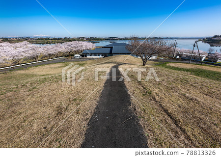 Naganuma Futopia Park, Tome City A path leading to the cherry blossom boating area 78813326