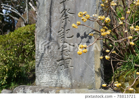 Ebata Tenshin Company 78813721