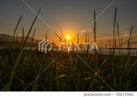 Summer Zenibako coastal sunset 78813982