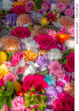 Hokkaido Hanatemizu 78814018