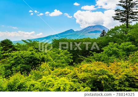 Nagano Prefecture / Gunma Prefecture Mt. Asama seen from the former Usui Pass Observation Platform 78814325