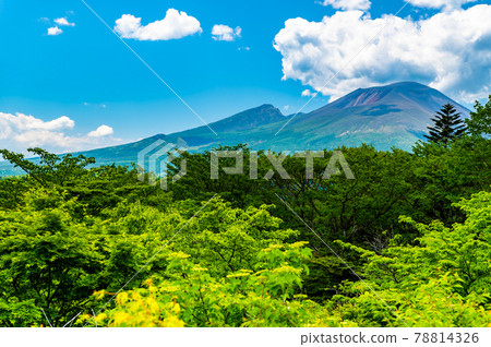 Nagano Prefecture / Gunma Prefecture Mt. Asama seen from the former Usui Pass Observation Platform 78814326