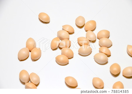 Ginkgo Ginkgo 78814385