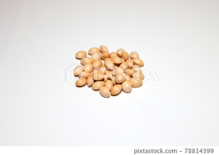 Ginkgo Ginkgo 78814399