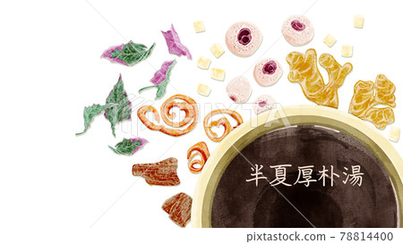 Chinese herbal medicine "Hangekobokuto" hand-painted watercolor style illustration Chinese herbal medicine "Hangekobokuto" hand-painted watercolor style illustration 78814400