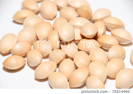 Ginkgo Ginkgo 78814460