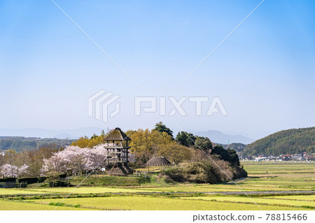 Yonago City, Tottori Prefecture Spring Hakuya Ancient Hill Park distant view Yonago City, Tottori Prefecture Spring Hakuya Ancient Hill Park distant view 78815466
