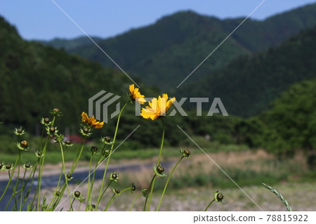 Miyama Kayabuki no Sato Fresh Green and Old Folk House [Kyoto Prefecture] 78815922