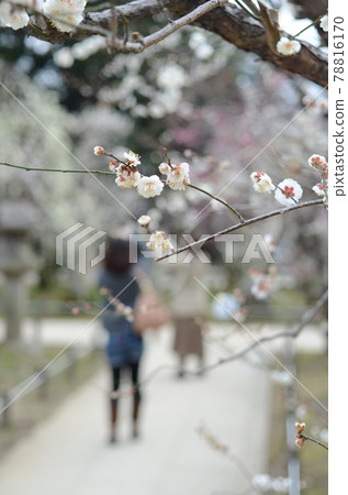 Kitano Tenman-gu的李子 78816170