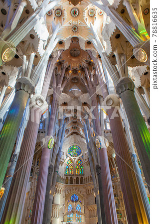 Sagrada Familia  78816635