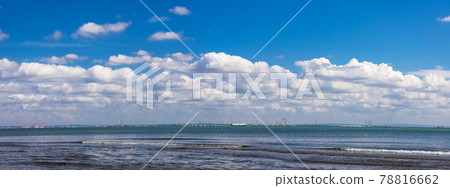 (千葉縣-風景全景)夏日天空和東京灣風景2 (千葉縣-風景全景)夏日天空和東京灣風景2 78816662