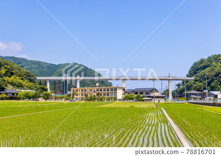 Amarube Viaduct (Sunny in June) 78816701