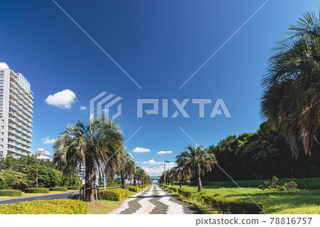 (千葉縣-城市景觀)沿海岸大通 2 的風景 (千葉縣-城市景觀)沿海岸大通 2 的風景 78816757