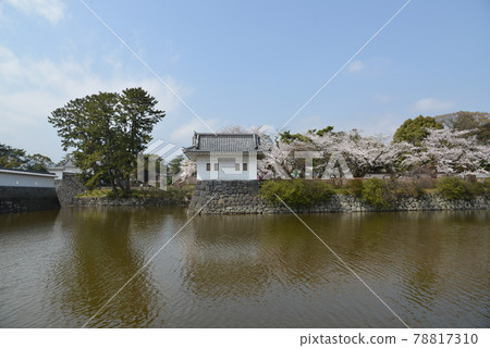 小田原城 78817310