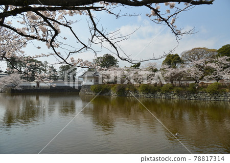 小田原城 78817314