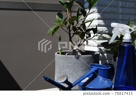 室外機上放置的室內植物、藍色噴霧瓶和噴壺 78817415