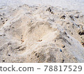Summer coastal sandy beach 78817529