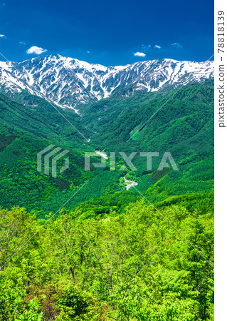 《Nagano Prefecture》 Mountain scenery and fresh green season in the Northern Alps 《Nagano Prefecture》 Mountain scenery and fresh green season in the Northern Alps 78818139